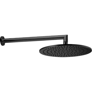 CISAL Shower Верхний душ D300 мм с настенным держателем L400 мм, цвет черный матовый (DS01362040)