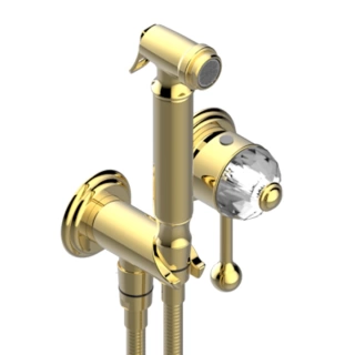 THG NAJEM Гигиенический душ в комплекте с встраиваемым однорычажным смесителем, шланг 1250 мм, держат с подводом воды, внешн часть, цвет полир золото (E53-F01-5840/MBG)