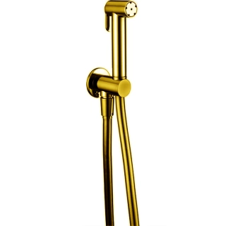 CISAL Shower Гидроершик со шлангом 120 см,вывод с держателем, цвет золото (A300791024)