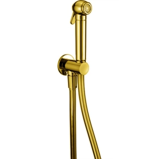 CISAL Shower Гигиенический душ со шлангом 120 см,вывод с держателем, цвет золото (SC00791024)