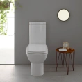 Система двойного смыва Globo Geberit для моноблока с нижним подводом воды (VA124cr) - миниатюра фото 1