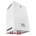 Настенный газовый котел Лемакс PRIME-V55 HO - миниатюра фото 2