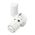 Термостатический элемент Danfoss RAW 5012/RTRW 7082, 013G5012/013G7082 с жидкостным выносным температурным датчиком 2 м - миниатюра фото 2
