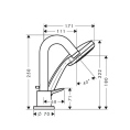 Смеситель для ванны Hansgrohe Logis с ручным душем 2jet и коротким изливом, хром (71313000) - миниатюра фото 2
