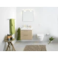 Подвесной унитаз Gustavsberg Hygienic Flush безободковый WWC 5G84HR01 - миниатюра фото 4