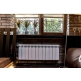 Радиатор биметаллический Bilux Plus R300/06 секций - миниатюра фото 1