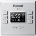 Газовый настенный двухконтурный котел Rinnai RB 207 EMF 23-3 кВт - миниатюра фото 2