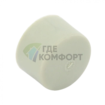 Заглушка PPR 20 FV-Plast - фото 2