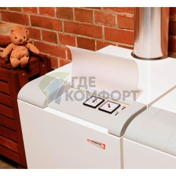 Газовый напольный одноконтурный чугунный котел Protherm Медведь 40 ТLO - фото 3
