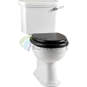 Компактный унитаз Devon Devon Rose с чашей «Розовая роза» - фото 1