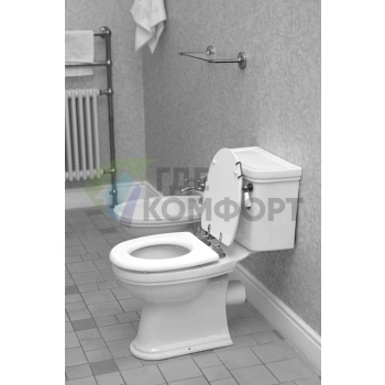 Компактный унитаз Devon Devon Rose с чашей «Розовая роза» - фото 3