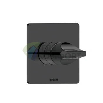 Смеситель для душа встраиваемый BOSSINI APICE, матовый черный (Z00504.073) - фото 1