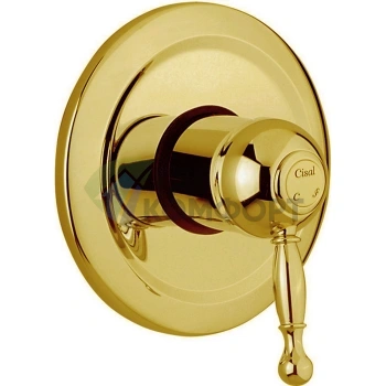 Встраиваемый однорычажный смеситель для душа CISAL Arcana Royal в золотом цвете (AY00300024) - фото 1