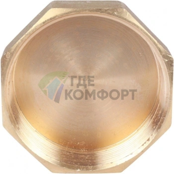 Заглушка ВР 2 1/2 Stout - фото 4