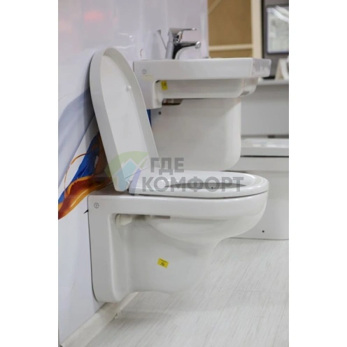 Подвесной унитаз Gustavsberg ARTic 4330 с системой микролифт - фото 5