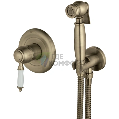 Встраиваемый смеситель Lemark Villa LM4819B с гигиеническим душем - фото 1