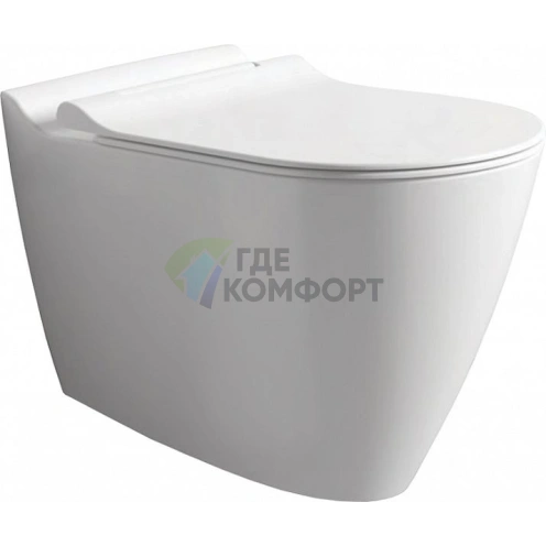 Подвесной унитаз-биде Bien Mineral безободковый - фото 1