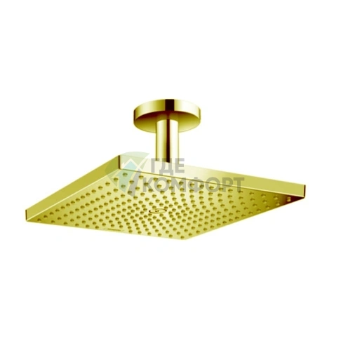 Верхний душ HG Raindance 300x300 мм с потолочным держателем, 1 струя, золото (26250990) - фото 1