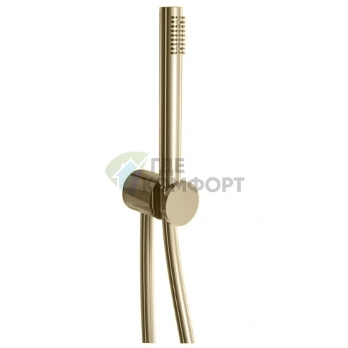 Душевой набор Fantini AF/21 Matt British Gold PVD – лейка FIT, шланг 150 см, держатель (81 P6 8061) - фото 1