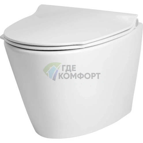 Подвесной унитаз Am.Pm Admire с системой микролифта C101738WH белый - фото 1