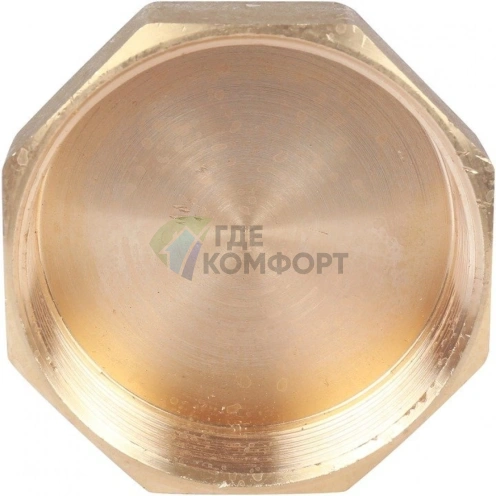 Заглушка ВР 2 1/2 Stout - фото 4