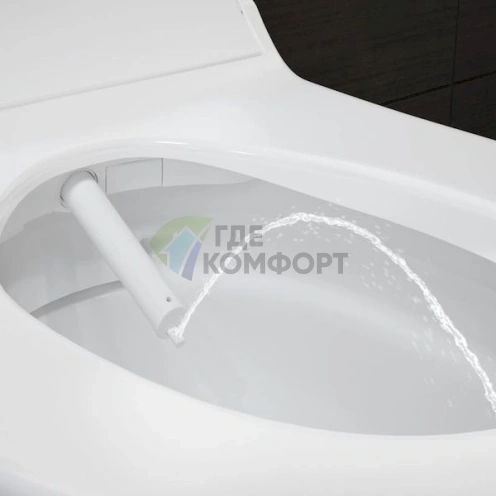 Подвесной унитаз Geberit AquaClean Tuma Comfort с панелью из белого стекла - фото 5