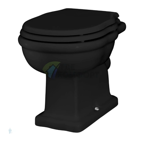 Унитаз приставной Artceram HERMITAGE черный с выпуском в стену 36x55см (крепеж в комплекте, хром) (HEV003 03 00 nero) - фото 1