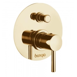 Bongio T Mix Встраиваемый смеситель для душа 2 источника, цвет золото (32529ORPR)