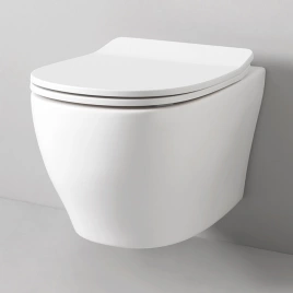 Artceram TEN Унитаз подвесной, 52х36см, безободковый, с крепежом, цвет: белый (TEV006 01 00)