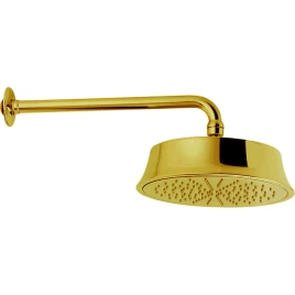CISAL Shower Верхний душ D220 мм с настенным держателем L270 мм, цвет золото (DS01327024)