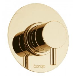 Bongio T Mix Встраиваемый смеситель для душа, цвет золото (32524ORPREU)